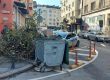  10-и ден дървеса пречат на хората дори в топцентъра