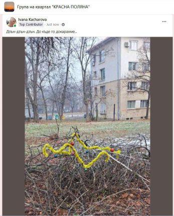 Елхите на Терзиев - граждански бунт завладя столицата