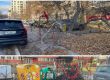 Елхите на Терзиев - граждански бунт завладя столицата