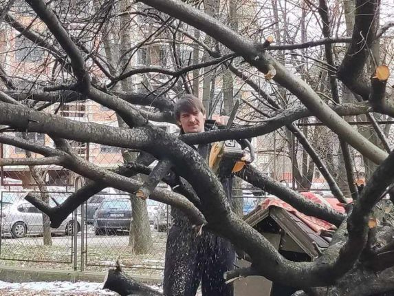 Депутат окастри дървета пред старчески дом