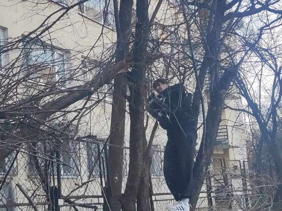 Депутат окастри дървета пред старчески дом