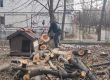 Депутат окастри дървета пред старчески дом