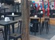  Секат дървета наред в Градската градина