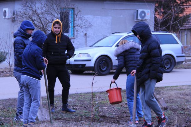 Природа? SOS! събра доброволци от обл. Видин 