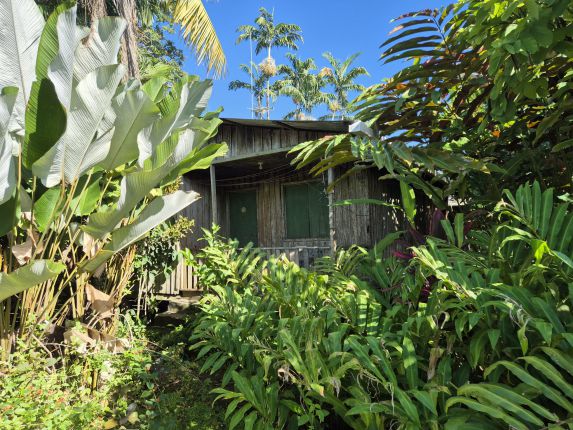 Коста Рика: Какво правим, ако не сме сърфъри и надценена дестинация ли е