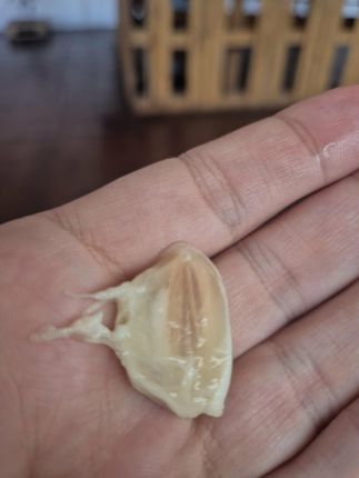 Коста Рика: Какво правим, ако не сме сърфъри и надценена дестинация ли е