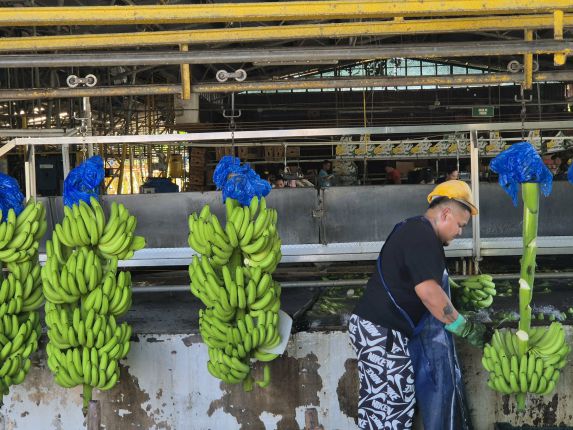 Коста Рика: Какво правим, ако не сме сърфъри и надценена дестинация ли е