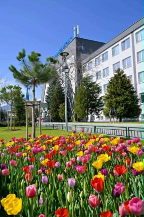 Фестивал на лалетата в НСА (ФОТОГАЛЕРИЯ)