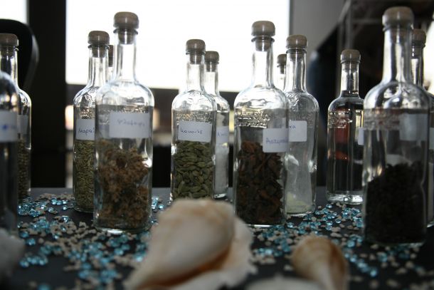 Rakia fest 2013