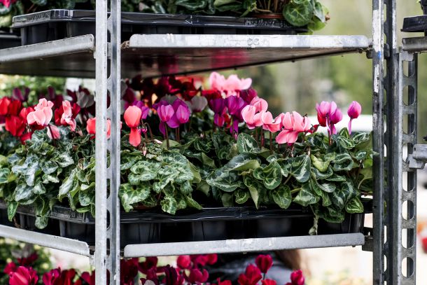 Модернизиране на пазара Димитър Петков