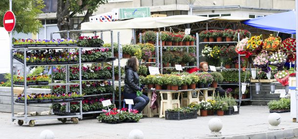 Модернизиране на пазара Димитър Петков