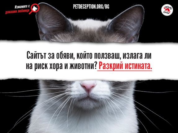 Четири лапи настоява за правила при онлайн търговията с животни