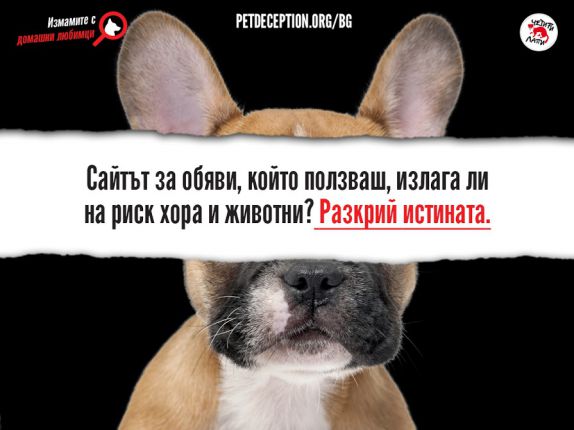 Четири лапи настоява за правила при онлайн търговията с животни