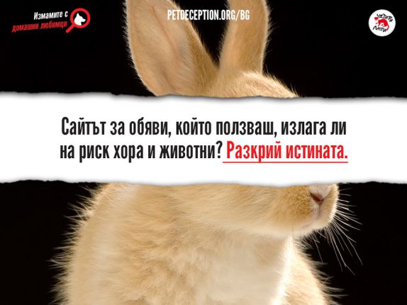 Четири лапи настоява за правила при онлайн търговията с животни