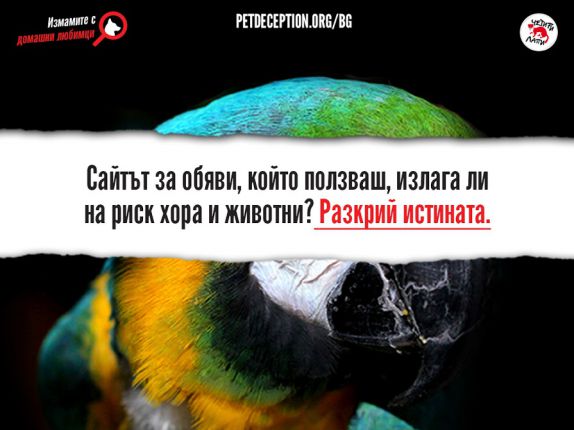 Четири лапи настоява за правила при онлайн търговията с животни