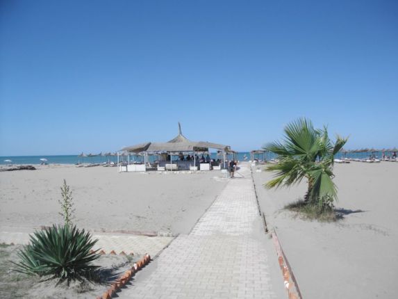 Тирана