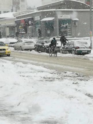София, 15 см. сняг