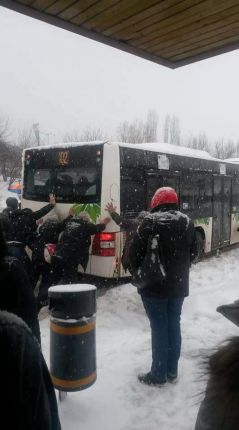 София, 15 см. сняг