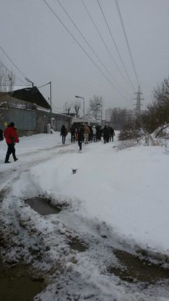 София, 15 см. сняг