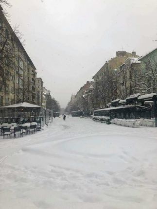 София, 15 см. сняг