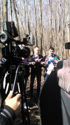 Незаконна сеч в градските паркове 