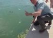 Делфинче игра с кмета на Бургас 