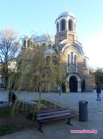 Нова на мястото на старата върба пред Св. Седмочисленици