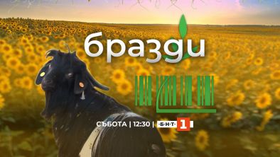 Бразди се завръща в ефира на БНТ с по-дълъг формат и още изненади