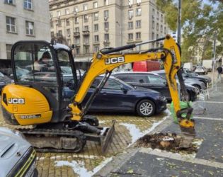 Терзиев и Трайчо убиват още дървета на жълтите павета 