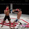 Spartacus Fighting Championship 5: Unbeatable Spirit на площад "Батенберг"